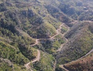 Muğla’da Yanan Ormanlık Alanlar Yeniden Yeşeriyor