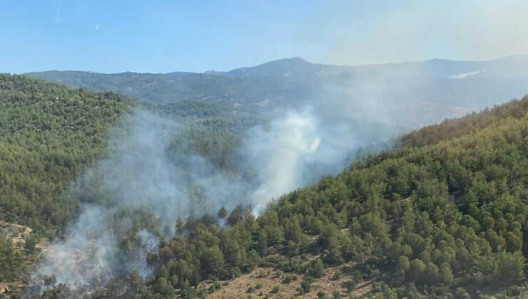 Muğla’da Yılbaşından Bu Yana 178 Yangın Çıktı