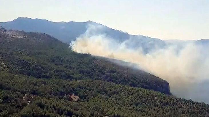 Muğla’nın Milas İlçesinde Orman Yangını