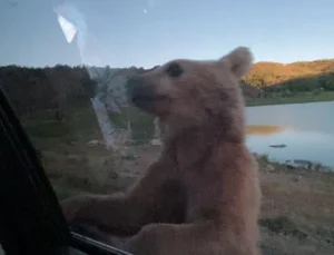 Nemrut’ta Korku Dolu Anlar