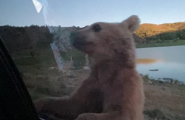 Nemrut’ta Korku Dolu Anlar