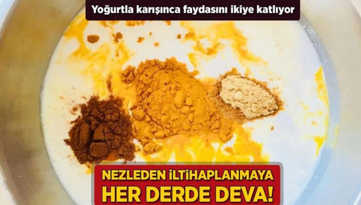 Nezleden İltihaplanmaya Her Sıkıntıya Deva! Yoğurtla Karışınca Yararını İkiye Katlıyor