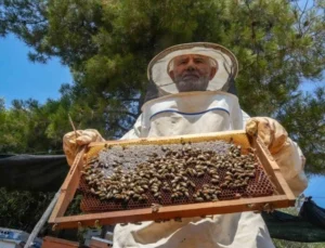 Oğlunun Ölümünün Ardından Dedesinden Kalma Arıcılık Mesleğiyle Hayata Tutundu