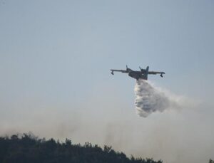 Ogm Duyurdu: Orman Yangınları Tasarruf Genelgesi Kapsamı Dışında