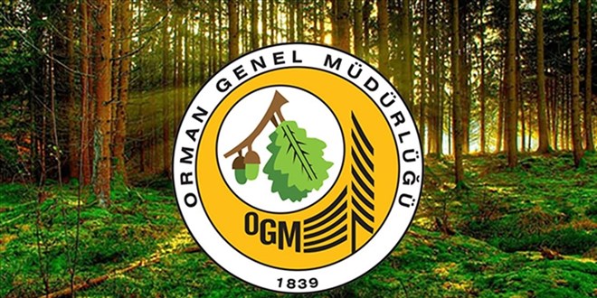 Ogm’den Orman Yangınlarıyla İlgili İddialara Yalanlama