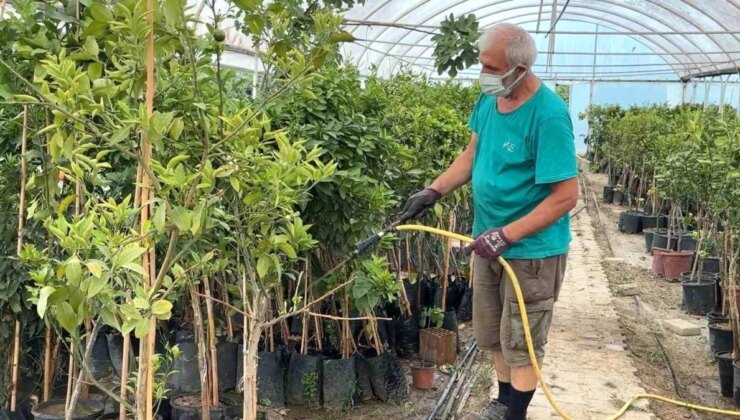 Organik Tarım Danışmanı: Bilinçsiz Kullanım Ziraî Eserlerin Kalitesini Bozuyor