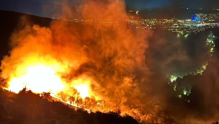 Orman Yangının Nedeni Ters Çevrilen Mangal!