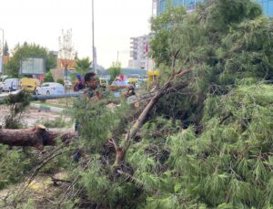 Osmaniye’de Şiddetli Fırtına Çatıları Uçurdu, Ağaçları Kökünden Söktü