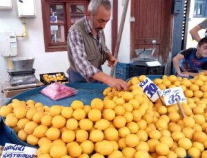 Pazarda Limon Fiyatları Artıyor