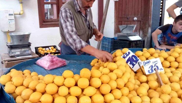 Pazarda Limon Fiyatları Artıyor