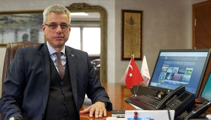 Prof. Dr. Kemal Memişoğlu Kimdir? İşte Kemal Memişoğlu’nun Biyografisi