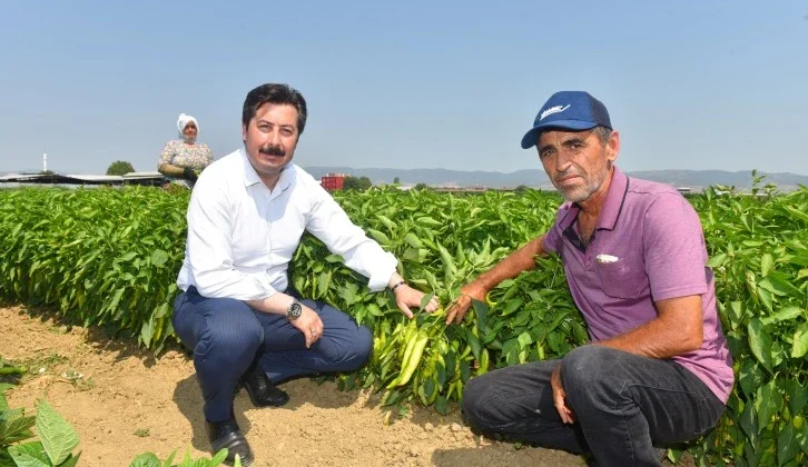 Bursa Yenişehir Biberinin Marka Bedelini Arttıracağız