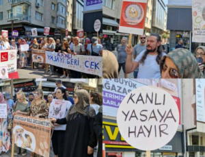 Saadet Partisi’nden Tartışmalı Sokak Hayvanları Yasası Protestosu: Barınak ve Bakımevlerinin Yanı Sıra Yaşam Alanları Kurulmalıdır