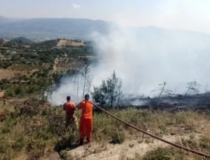 Sakarya’da Geçtiğimiz Yıla Göre Orman Yangınlarında 2 Buçuk Kat Artış Yaşandı: Jandarma Uyardı