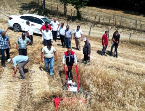 Samsun’da Organik Kavılca Buğdayı Hasadı ve Hasat Makinesi Dağıtımı Gerçekleştirildi