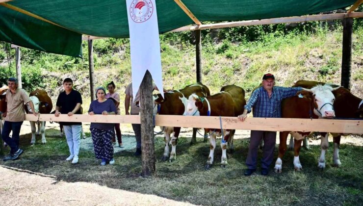 Sinop’ta Orköy Projeleri Kapsamında 265 Köylüye 40 Milyon TL Ferdi Kredi Desteği Verildi