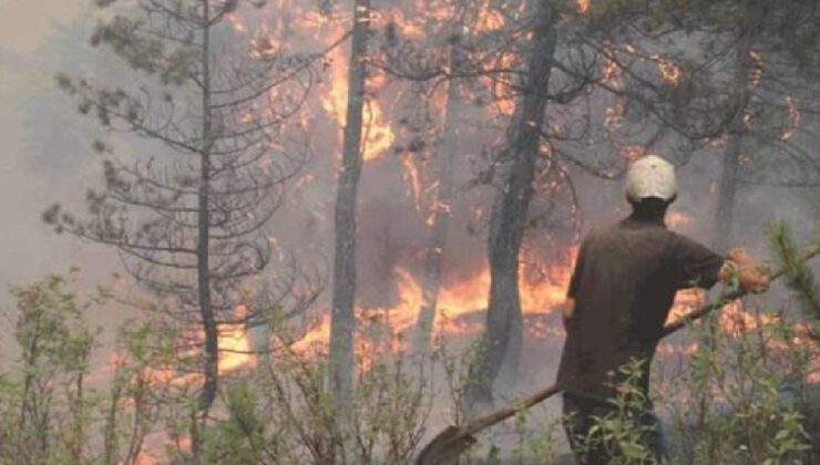 Şırnak’ta Çıkan Yangında Arazi Kül Oluyordu