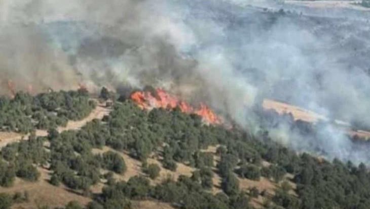 Şırnak’ta Örtü Yangını: Yaklaşık 15 Dönüm Alan Zarar Gördü