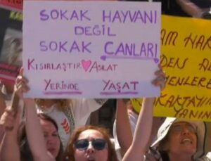 Sokak Hayvanları Yasa Tasarısına Karşı Eylem Devam Ediyor: Yaşam Nöbetimiz Bitmeyecek