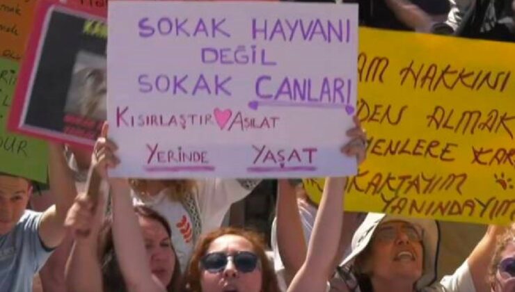 Sokak Hayvanları Yasa Tasarısına Karşı Eylem Devam Ediyor: Yaşam Nöbetimiz Bitmeyecek