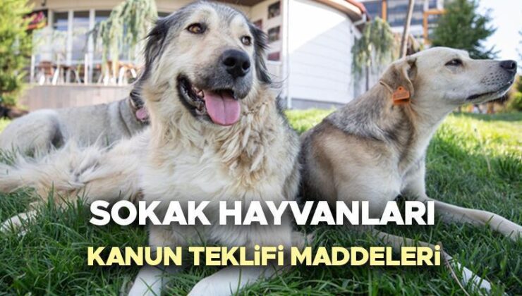 Sokak Hayvanları Yasası Son Dakika 2024 | Sokak Hayvanları Yasası Kabul Edildi Mi, Meclis’ten Geçti Mi, Maddeleri Neler? Köpekler Uyutulacak Mı? TBMM Başkanlığına Sunuluyor!