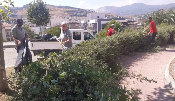 Söke Belediyesi’nden Park ve Bahçelerde Yoğun Çalışma