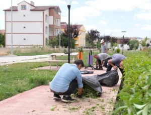 Sorgun’da Çevre Düzenlemesi