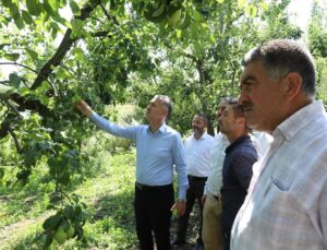 Tarım Topraklarına Ulaşım Ağı Güçleniyor