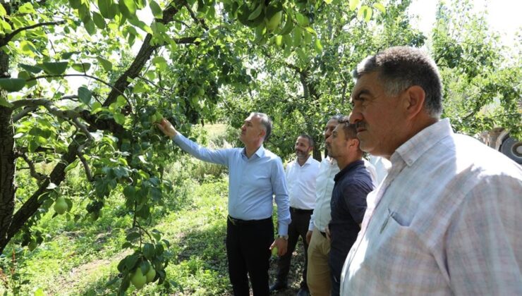 Tarım Topraklarına Ulaşım Ağı Güçleniyor