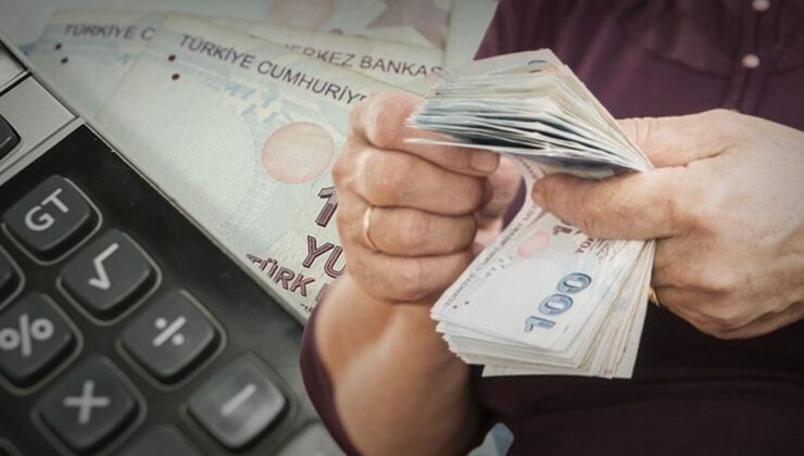 TC Kimlik Numarasını Bilenler Zamlı Maaşını Çabucak Öğreniyor! 1 Dakika Bile Sürmüyor