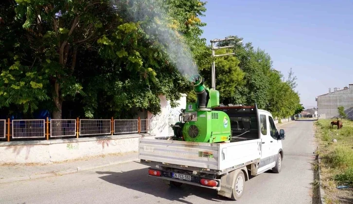 Tepebaşı İlçe Merkezinde ve Kırsalda Haşere ile Mücadele