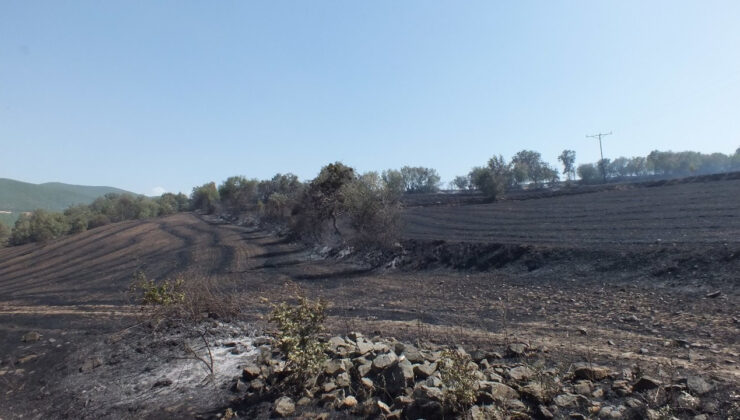 Tokat’taki Anız Yangınında Yaklaşık 300 Dekar Arazi Zarar Gördü