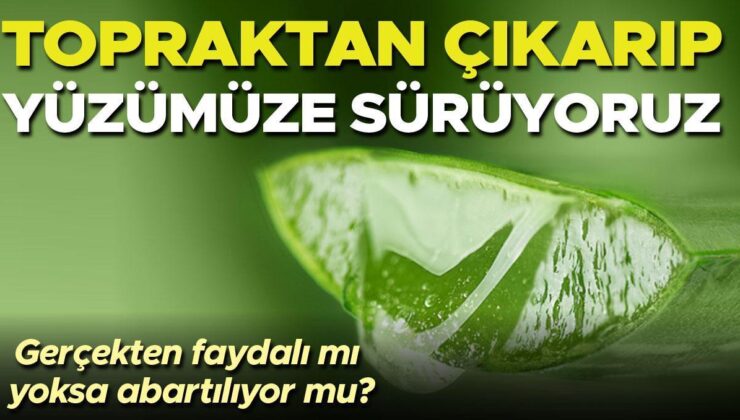 Topraktan Çıkarıp Elimize Yüzümüze Sürüyoruz! Aloe Vera Gerçekten Cilt İçin Faydalı Mı Yoksa Abartılıyor Mu?