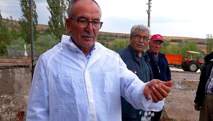 Tüm Kent Neye Uğradığını Şaşırdı! Çiftçi: ‘Hayatımda Böylesini Görmedim’