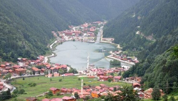 Turistler Golf Aracıyla Trabzon Uzungöl’e Düştü: 1 Yaralı