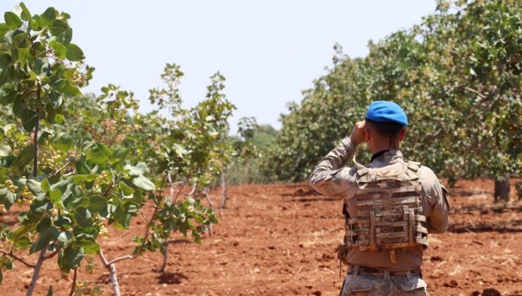 Türkiye’nin Yeşil AltınI Jandarma Nöbette, Tedbirler Arttı