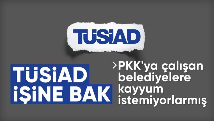 TÜSİAD’dan Siyasi Değerlendirme: Kayyum Atanmasına Karşıyız