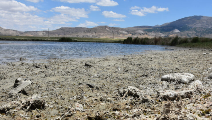 Ulaş Gölü’nde Yağış Azlığı ve Bilinçsiz Sulama: ‘Habitat Yok Oluyor’