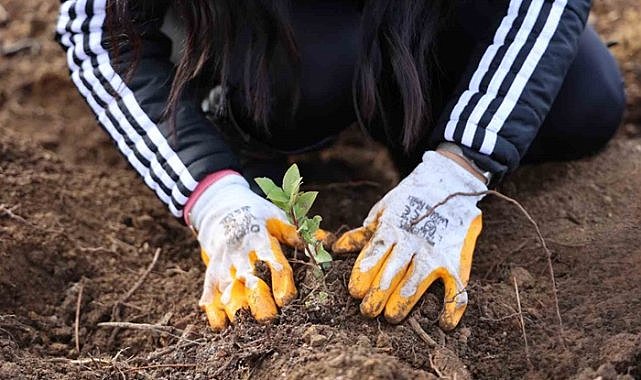 Uludağ Elektrik’ten 5 Bin Fidan ile Yeşil Dönüşüme Katkı