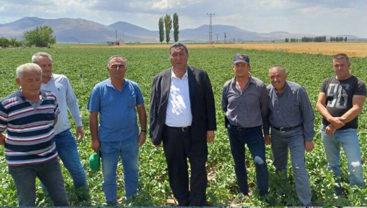 Üreticiler Uyardı: Bu Sene İhracat Olmazsa Patates Eksiksiz Dökülür, Üretici Tarladan Çekilir