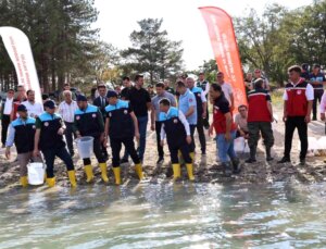 Ürgüp’teki Damsa Barajı’na 350 Bin Yavru Sazan Balığı Bırakıldı