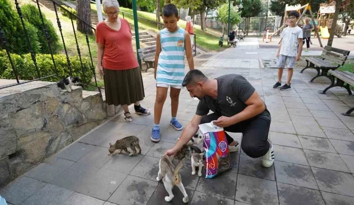 Üsküdar Belediyesinden Sokak Hayvanlarına Her Ay 2 Ton Mama Yardımı