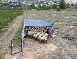 Uzman Eller Projesi ile Genç Yaşta Kendi İşini Kurdu