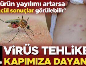 Virüs Tehlikesi Kapımıza Dayandı! İran’da Olay Sayısı 12’ye Yükseldi… ‘Bu Çeşidin Yayılımı Artarsa Bizde de Benzer Durumlar Görülebilir!’