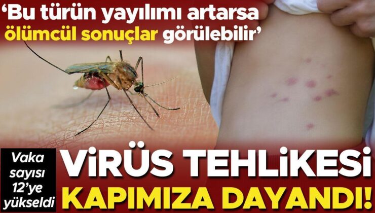 Virüs Tehlikesi Kapımıza Dayandı! İran’da Olay Sayısı 12’ye Yükseldi… ‘Bu Çeşidin Yayılımı Artarsa Bizde de Benzer Durumlar Görülebilir!’