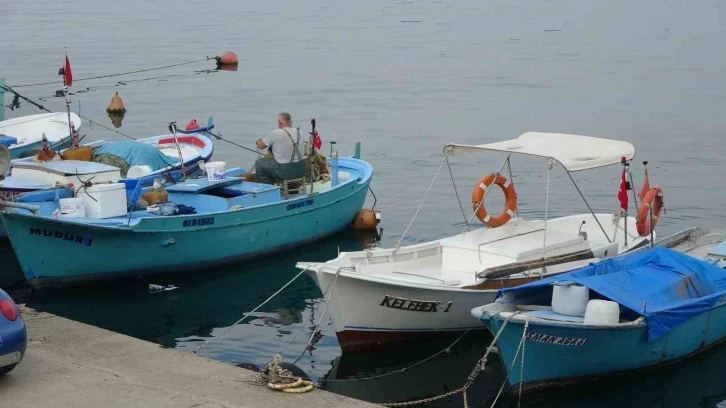 Yeni Av Dönemi Öncesinde Palamudun Görüntü Vermesi Balıkçıları Umutlandırdı