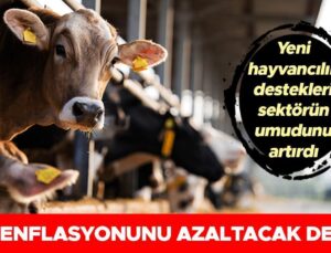 Yeni Hayvancılık Destekleri Dalın Umudunu Artırdı: Gıda Enflasyonunu Azaltacak Destek