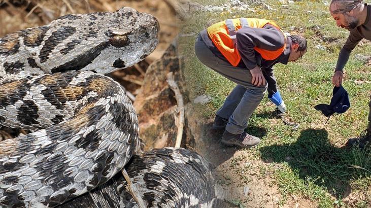 Yer: Adıyaman: Kanserden Kurtulmak İçin ‘Wagner Engereği’nin Zehrini Sağdılar