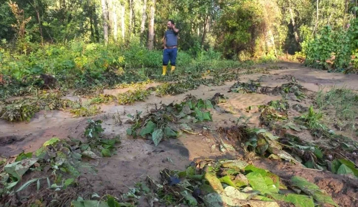 Yozgat’ta Kuvvetli Yağışın Getirdiği Hasar Gün Ağarınca Ortaya Çıktı