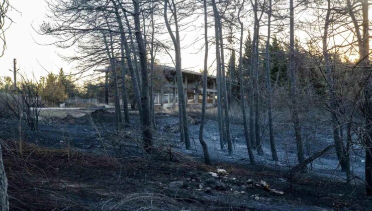 Yükseköğretim Kurulu Başkanı Bursa Uludağ Üniversitesi’ndeki Yangınla İlgili Açıklama Yaptı